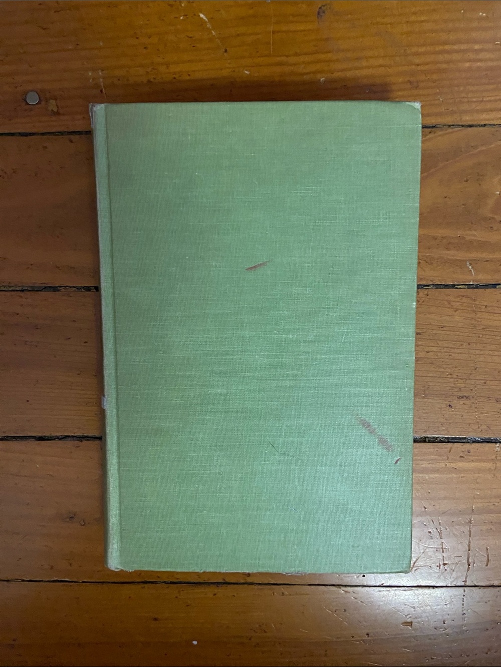 60s 1960s garden gardening landscaping BOTANICAL plants plant flower floral tree